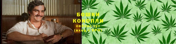 бошки Лагань