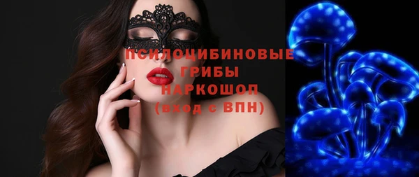 прущие крисы Лабытнанги