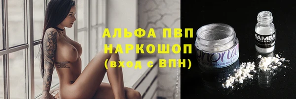 прущие крисы Лабытнанги