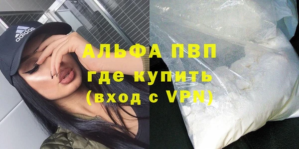 бошки Ладушкин