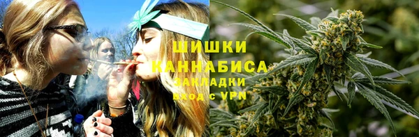 бошки Ладушкин
