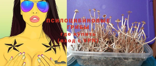 прущие крисы Лабытнанги