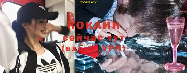 бошки Ладушкин