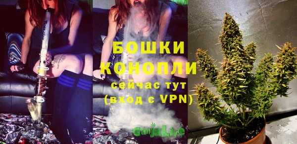 бошки Лагань