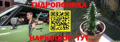 spice Апшеронск