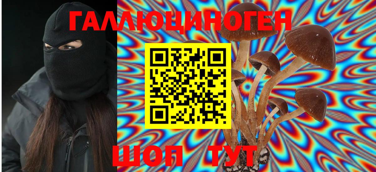 Галлюциногенные грибы Psilocybe  Галлюциногенные грибы Cubensis  Апрелевка  купить закладку  Вход с VPN 