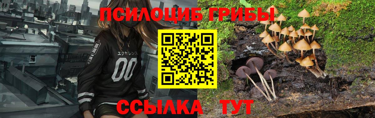 Галлюциногенные грибы ЛСД  Галлюциногенные грибы мицелий  Апрелевка 